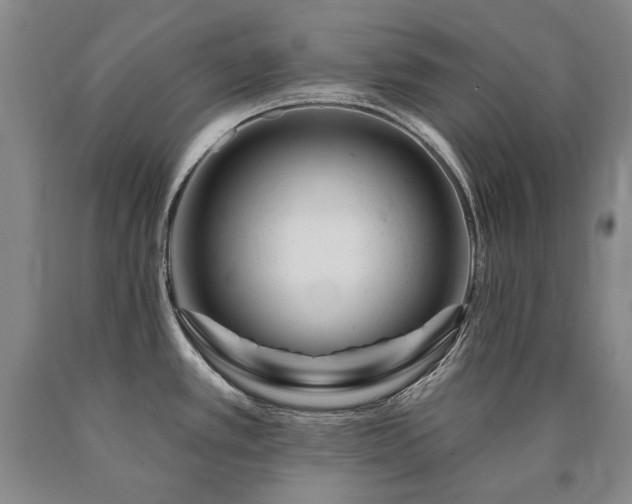 X0000090871389200707271241