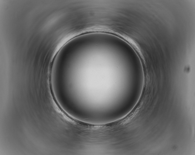 X0000090871390200707271241