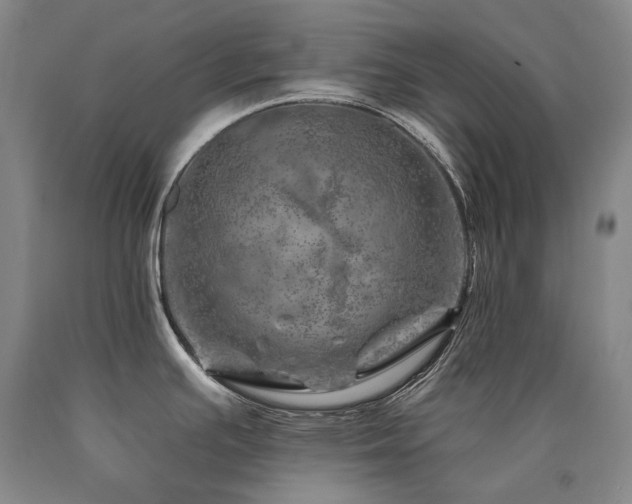 X0000090871391200707271241