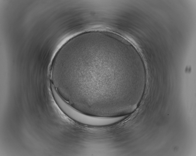 X0000090871392200707271241