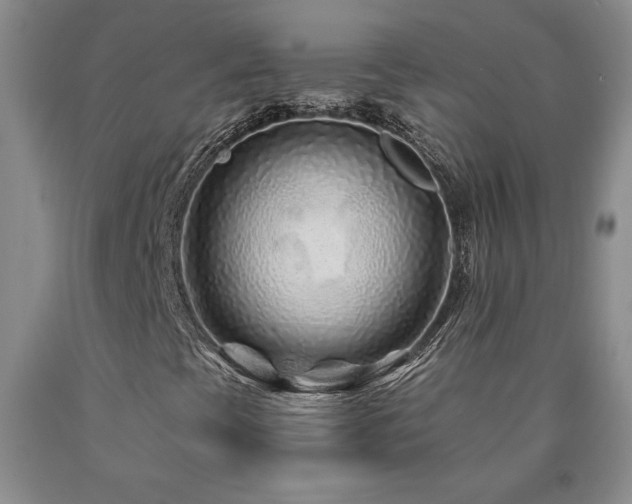 X0000090871393200707271240