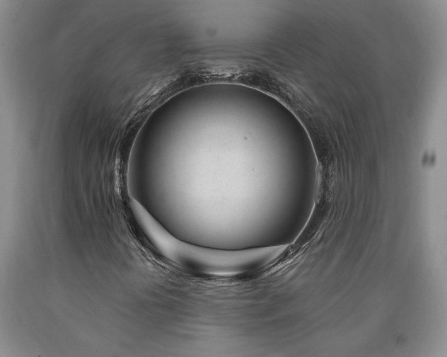 X0000090871394200707271240