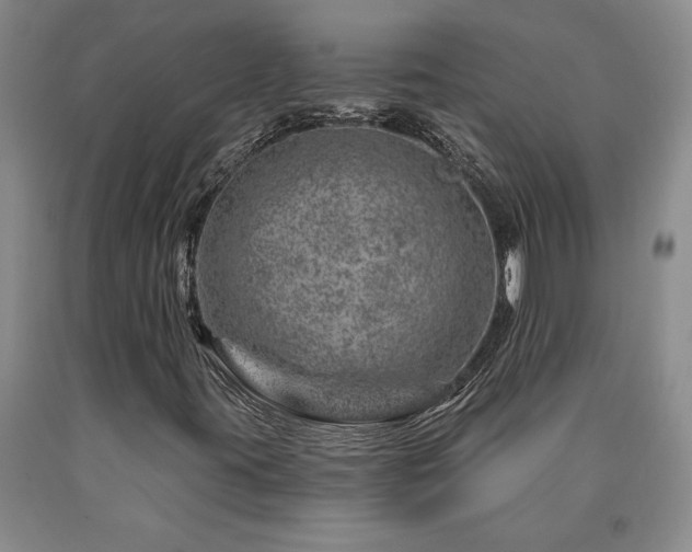 X0000090871395200707271240