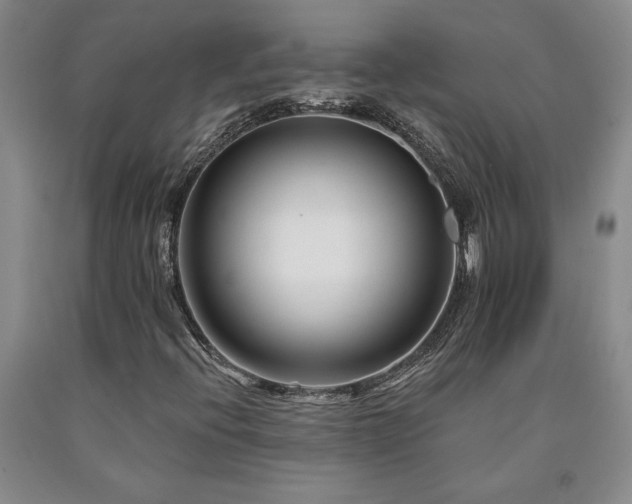X0000090871396200707271240
