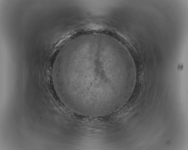 X0000090871397200707271240
