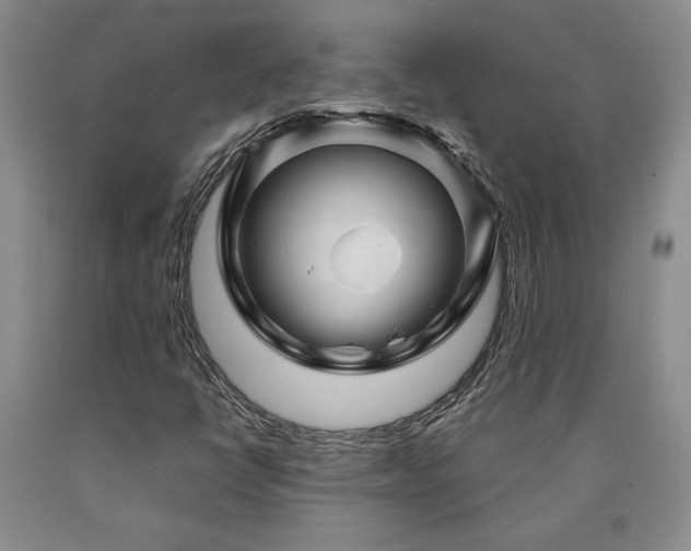 X0000090871398200707271240