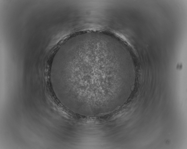 X0000090871399200707271240