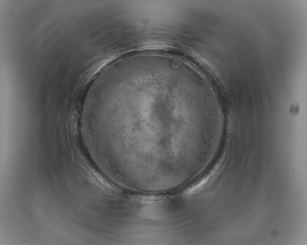 X0000090871401200707271240
