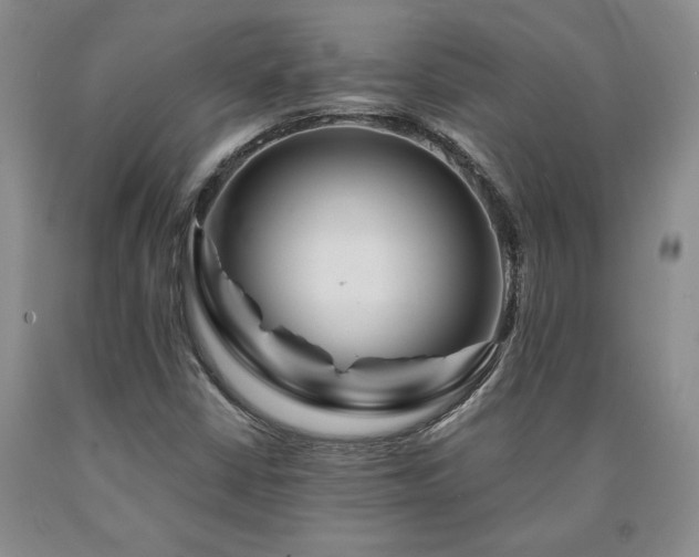 X0000090871402200707271240