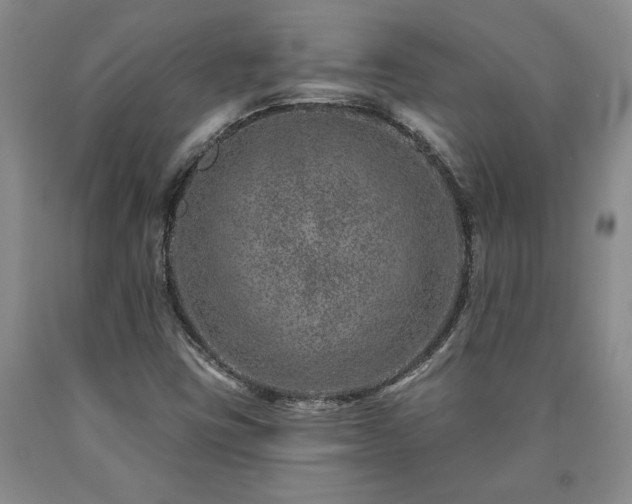 X0000090871403200707271240