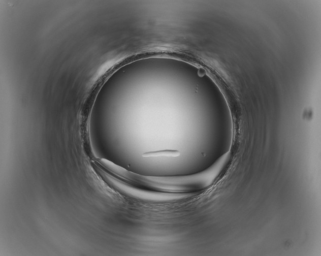 X0000090871404200707271240