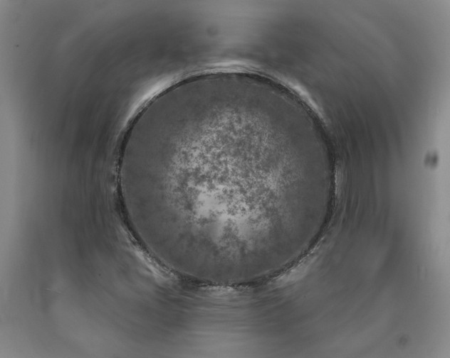 X0000090871405200707271240