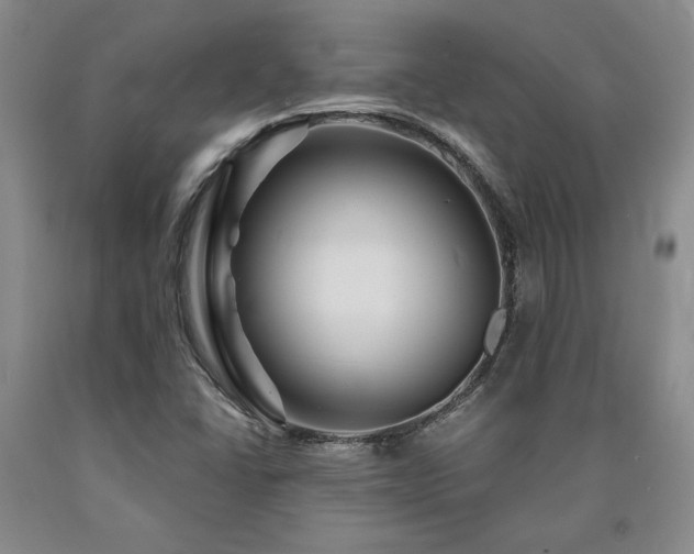 X0000090871406200707271240