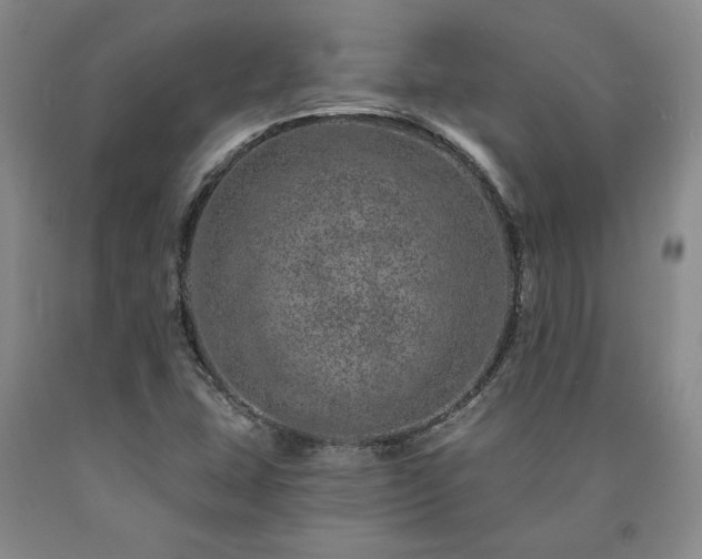 X0000090871407200707271240