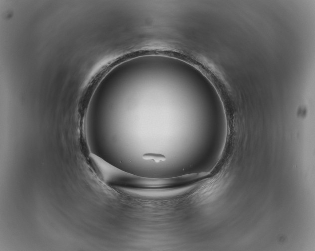 X0000090871408200707271240