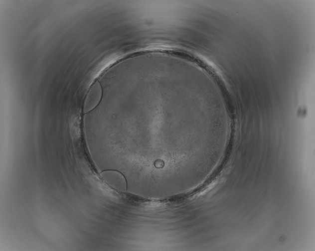 X0000090871409200707271240