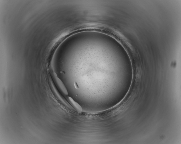 X0000090871411200707271240
