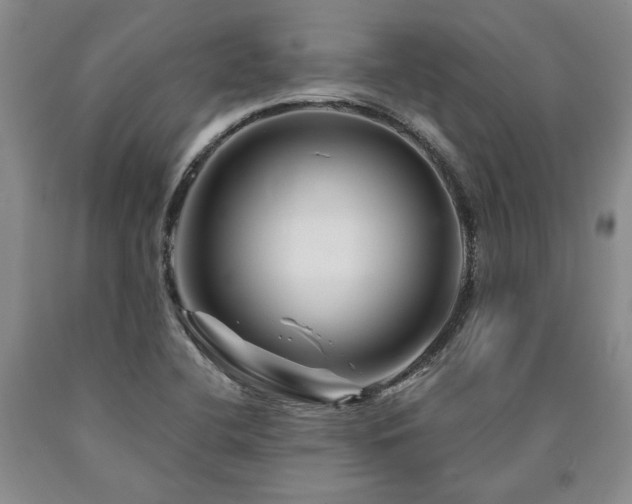 X0000090871412200707271240