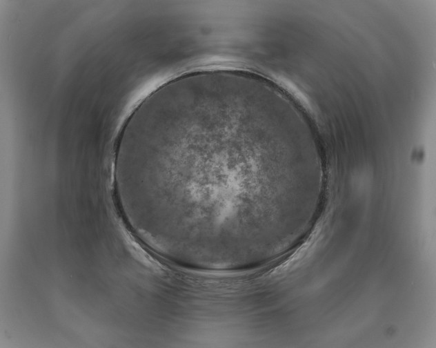X0000090871413200707271240