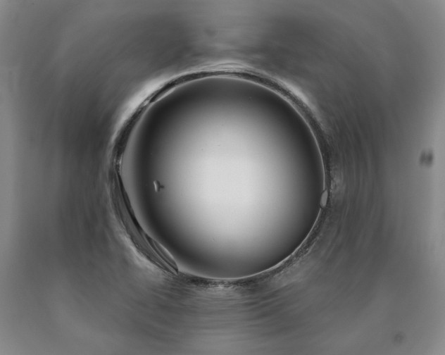 X0000090871414200707271240