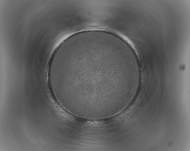 X0000090871415200707271240