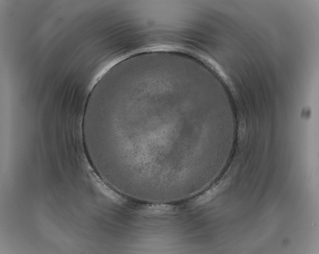 X0000090871417200707271240