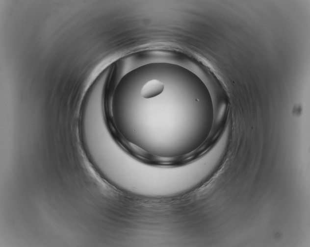 X0000090871418200707271240