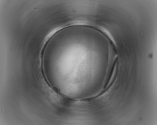 X0000090871419200707271240
