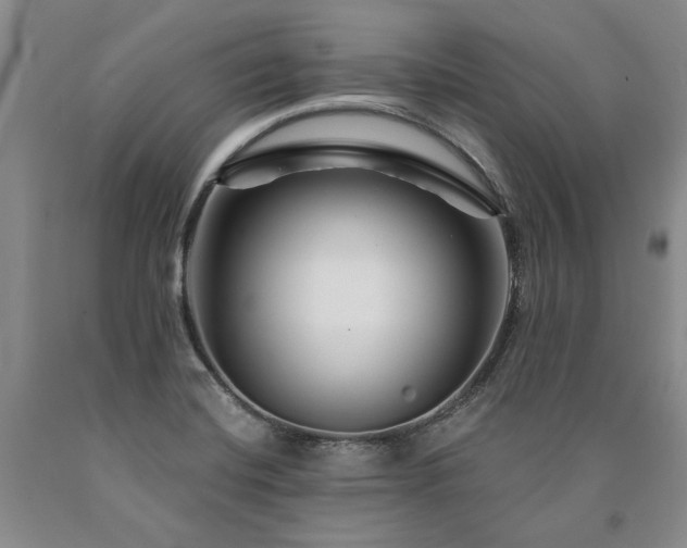 X0000090871420200707271240