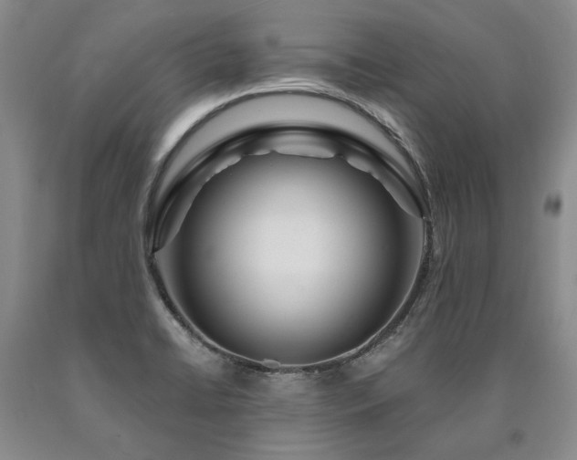 X0000090871422200707271240