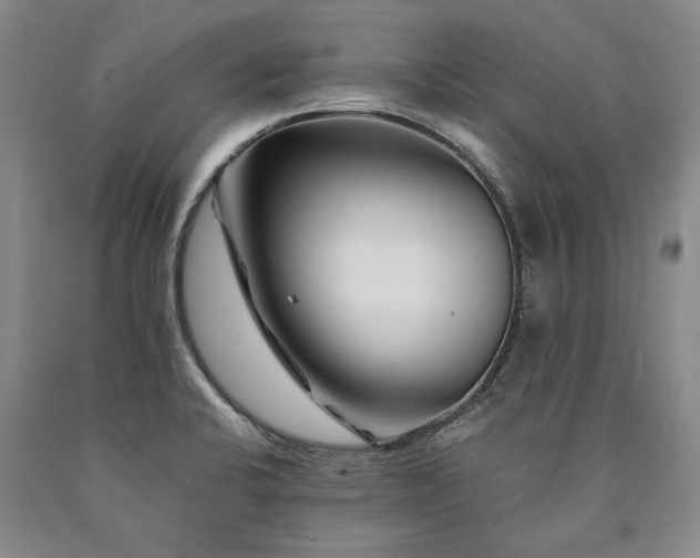 X0000090871424200707271241