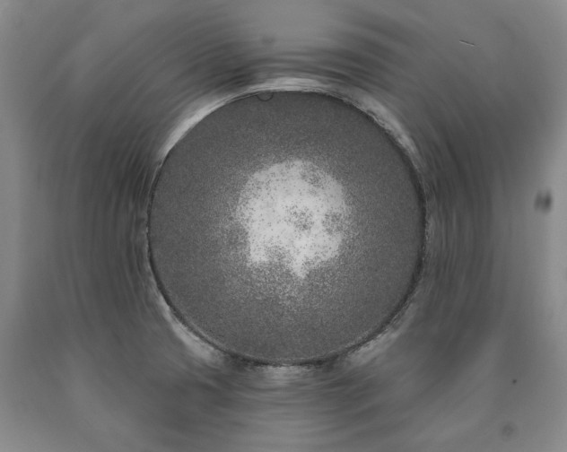 X0000090871425200707271241