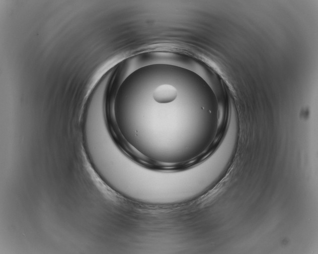 X0000090871426200707271241