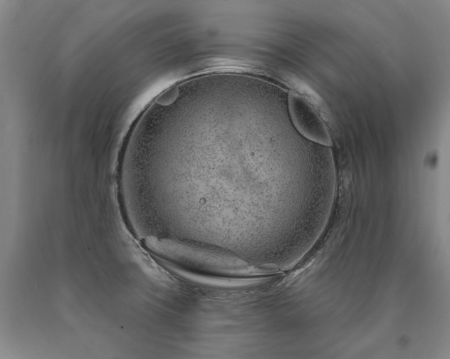 X0000090871427200707271241
