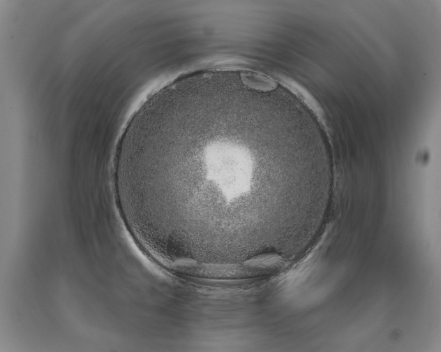 X0000090871429200707271241