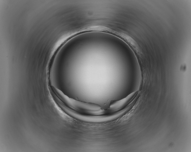 X0000090871430200707271241