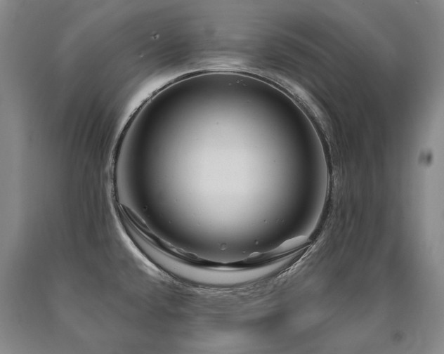 X0000090871432200707271241