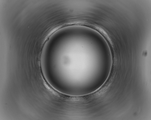 X0000090871433200707271241