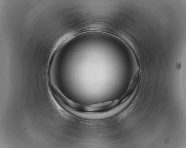 X0000090871434200707271241
