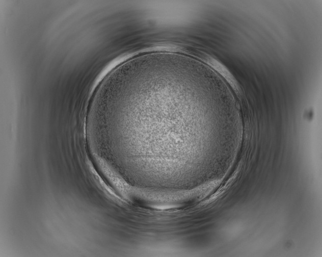 X0000090871436200707271241