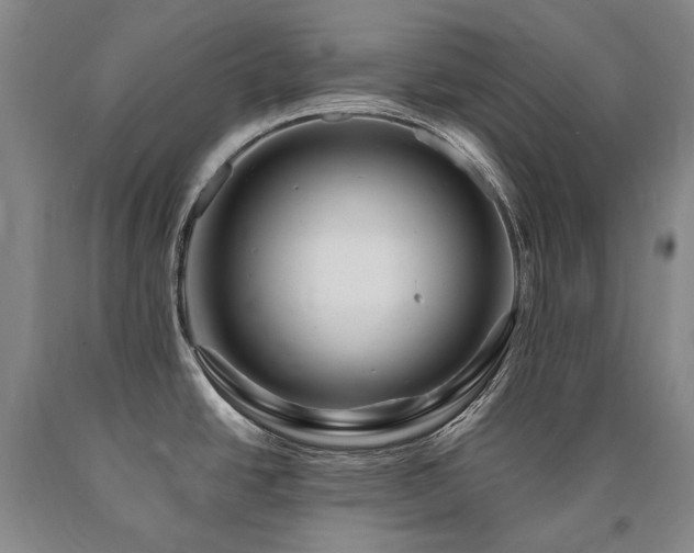 X0000090871438200707271241