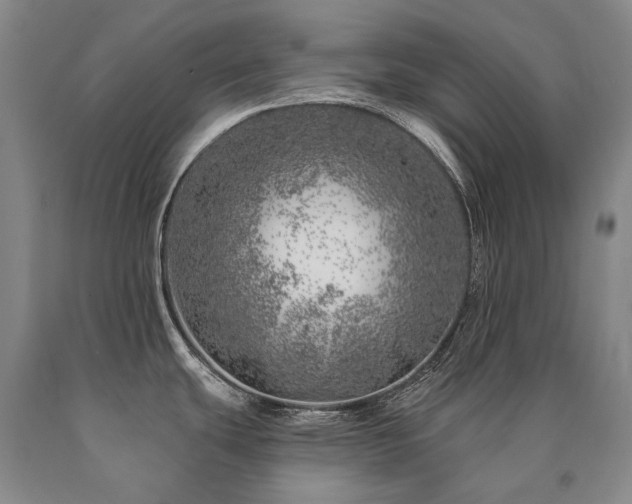 X0000090871439200707271241
