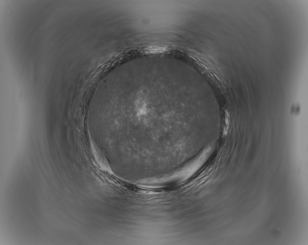 X0000090871441200707271240