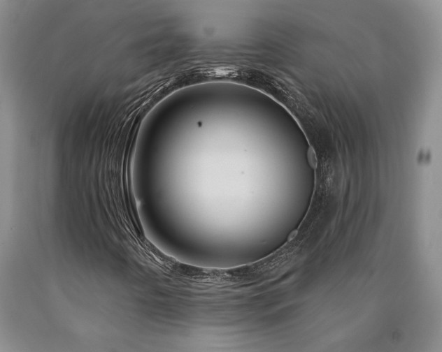 X0000090871442200707271240