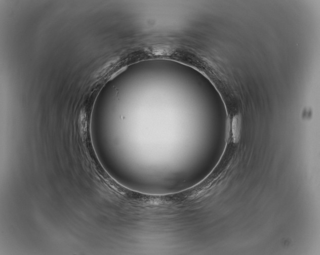 X0000090871443200707271240