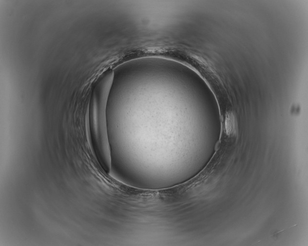 X0000090871444200707271240