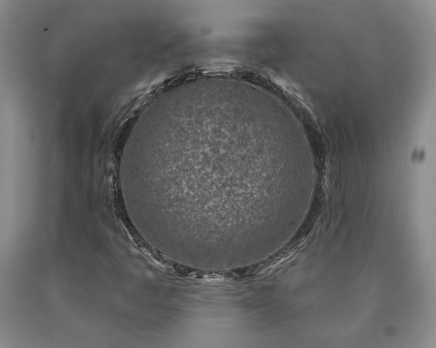 X0000090871445200707271240