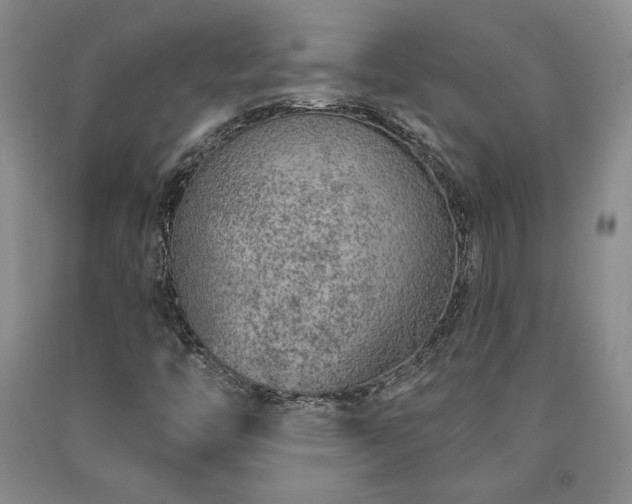 X0000090871446200707271240