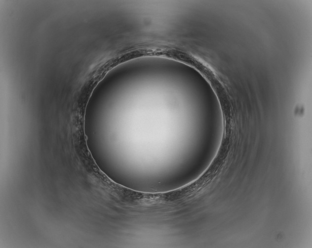 X0000090871447200707271240