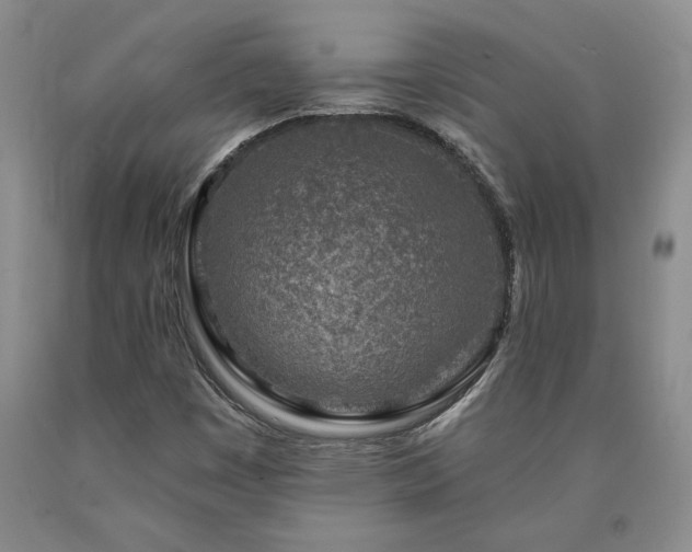 X0000090871449200707271240